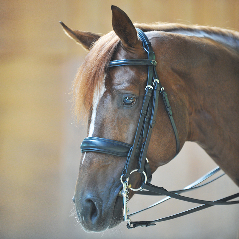 Double bridle "Dacira" sw...