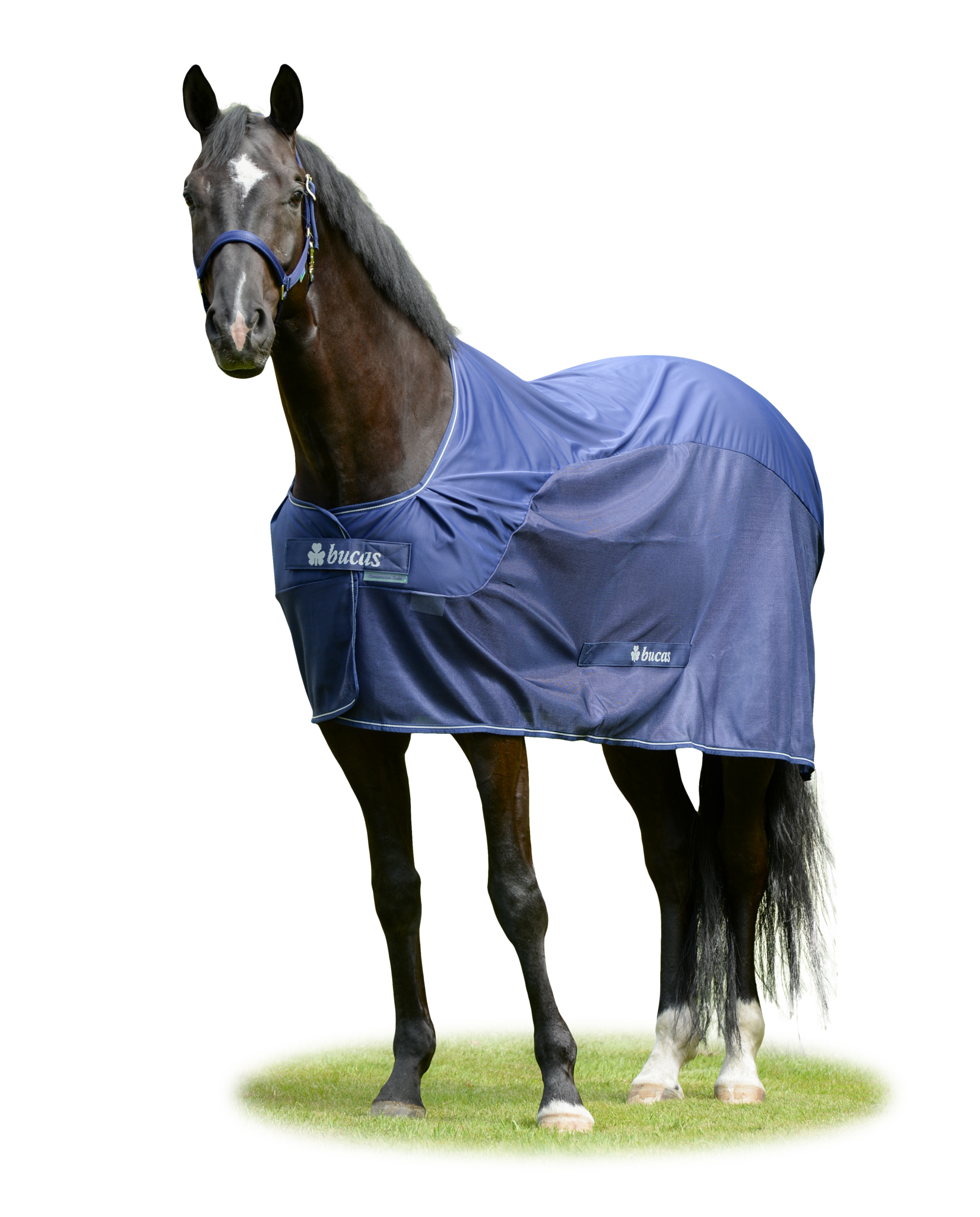 Abschwitzdecke Competition Cooler in Navy