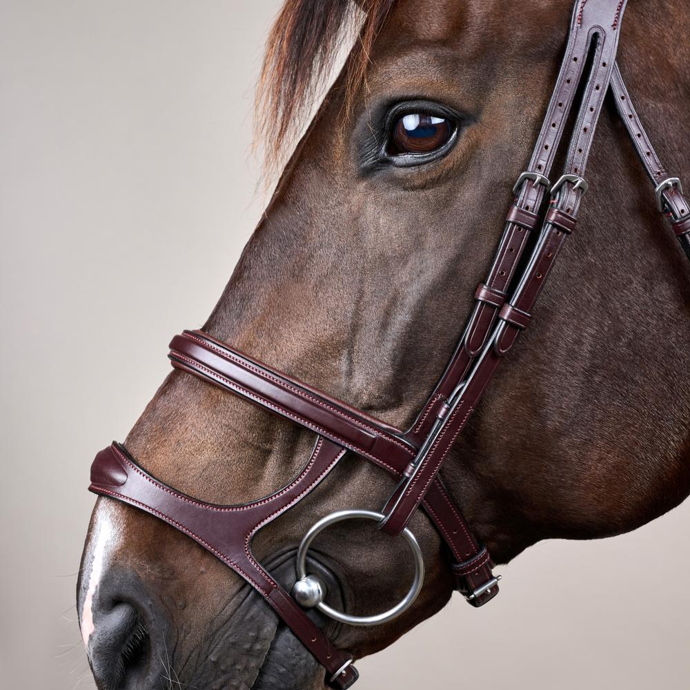 Trense mit Doppelreithalfter NE