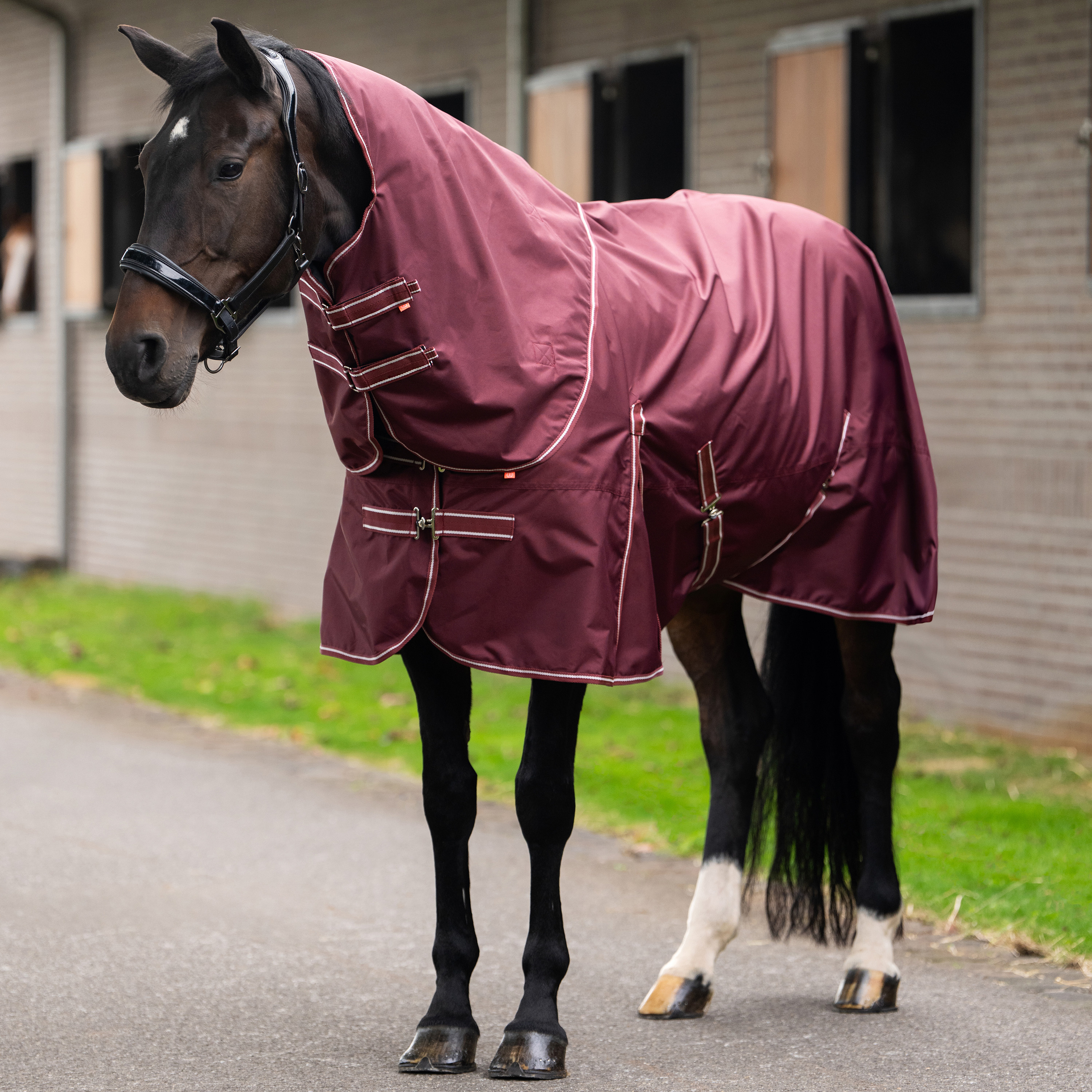 Outdoordecke Basic mit abnehmbarem Halsteil Sommer