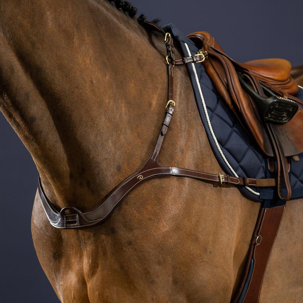 Anatomisches Vorderzeug | Dy'on