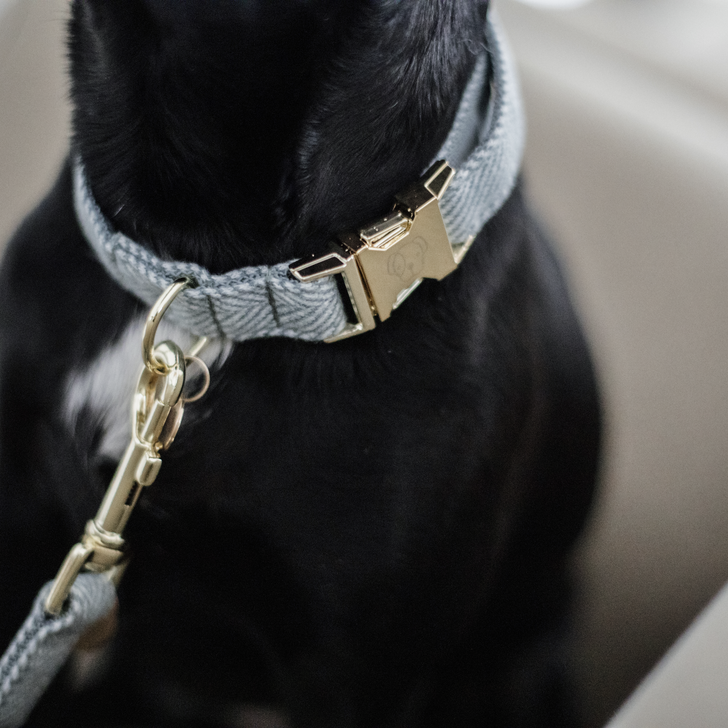 Wool dog collar