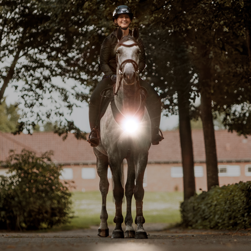 Breastplate "Horselight"-white front light