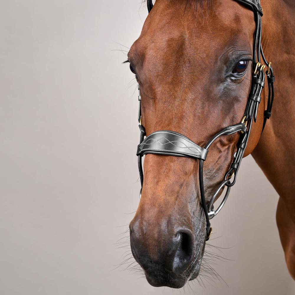 Hybrides Zaumzeug DY |