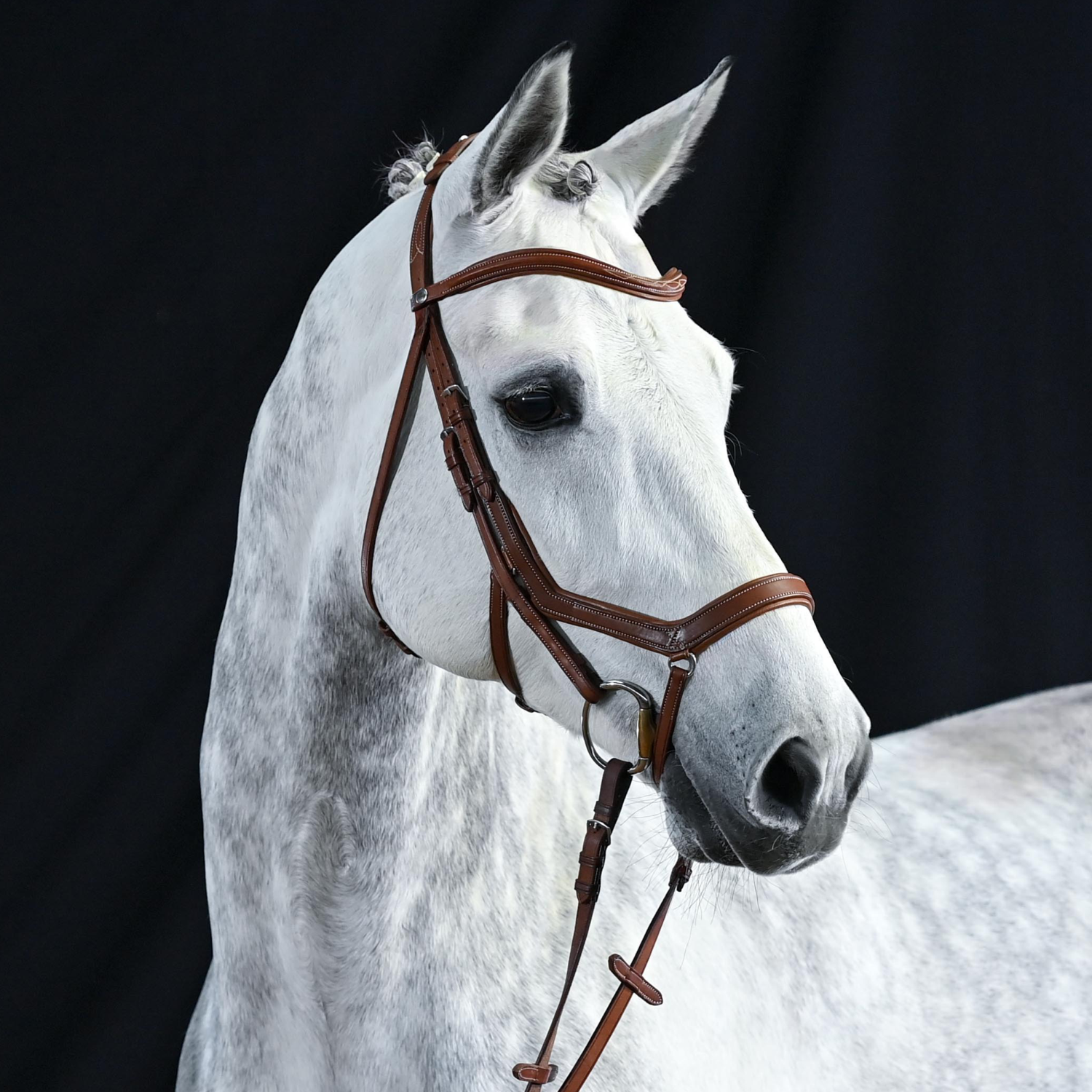 Reithalfter Take-Off Line AN