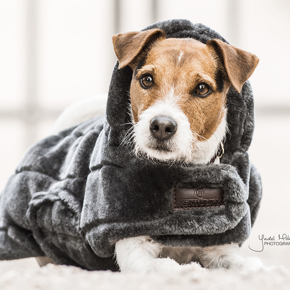 Fake fur dog coat in grey