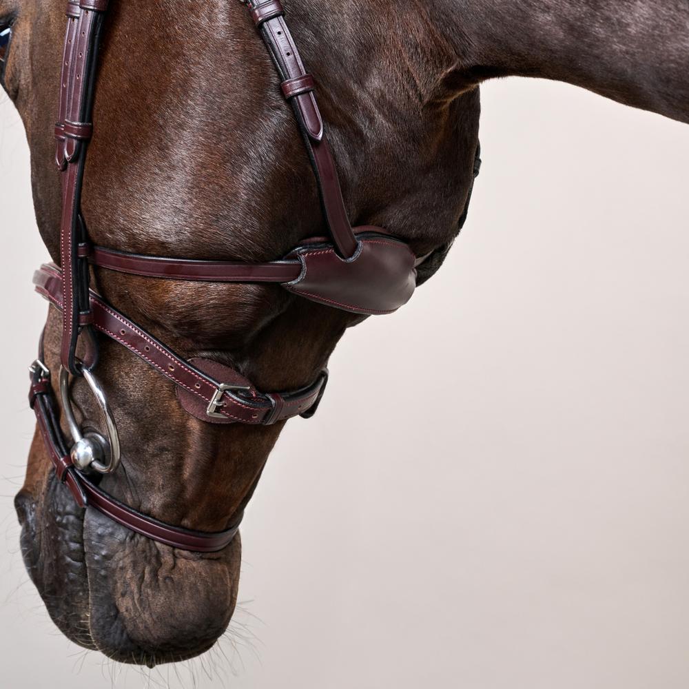 Difference Trense NE