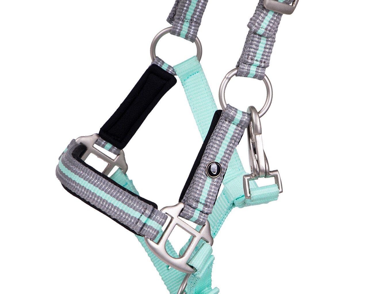 Foal halter Flore with headband