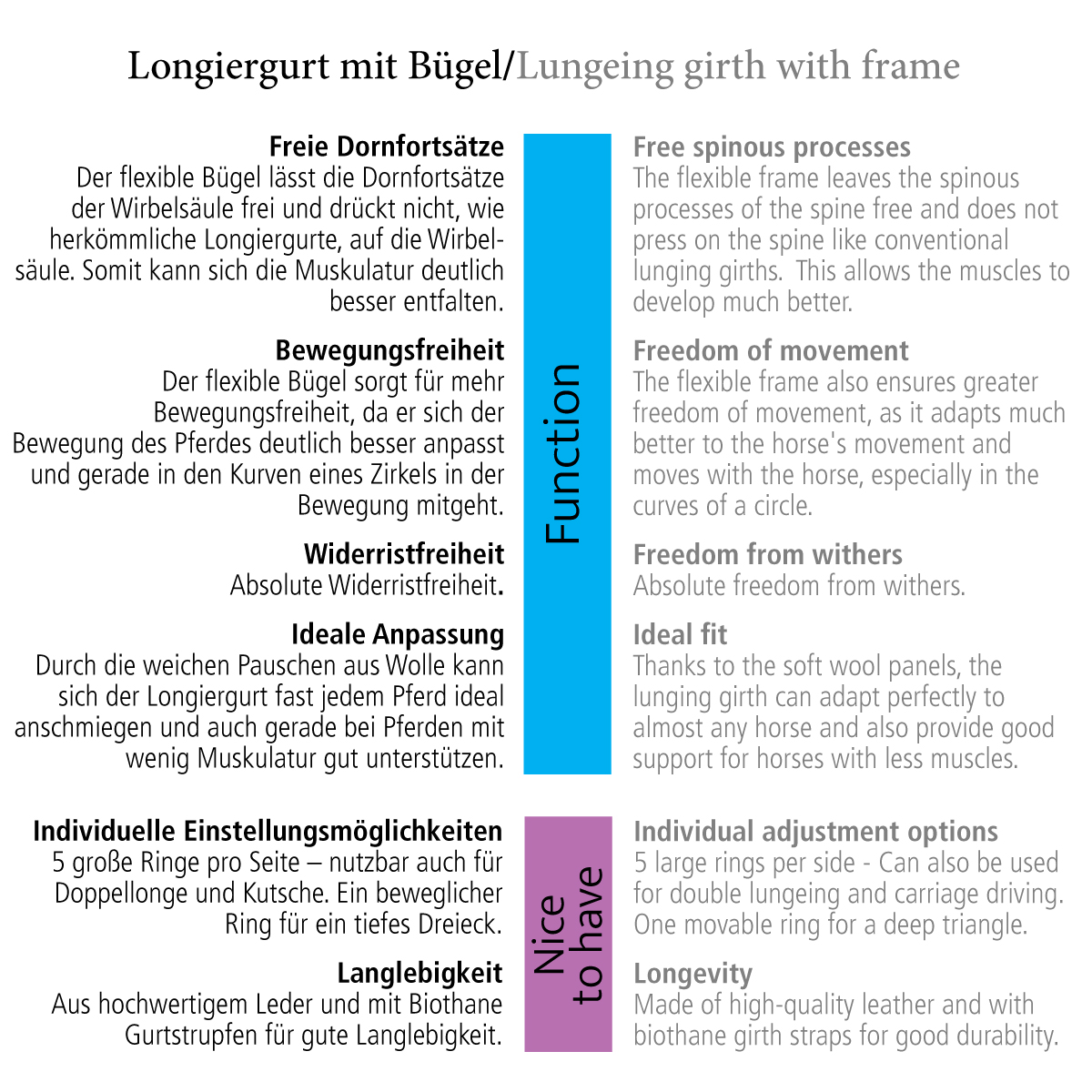 Lederen stijgbeugel longeerriem
