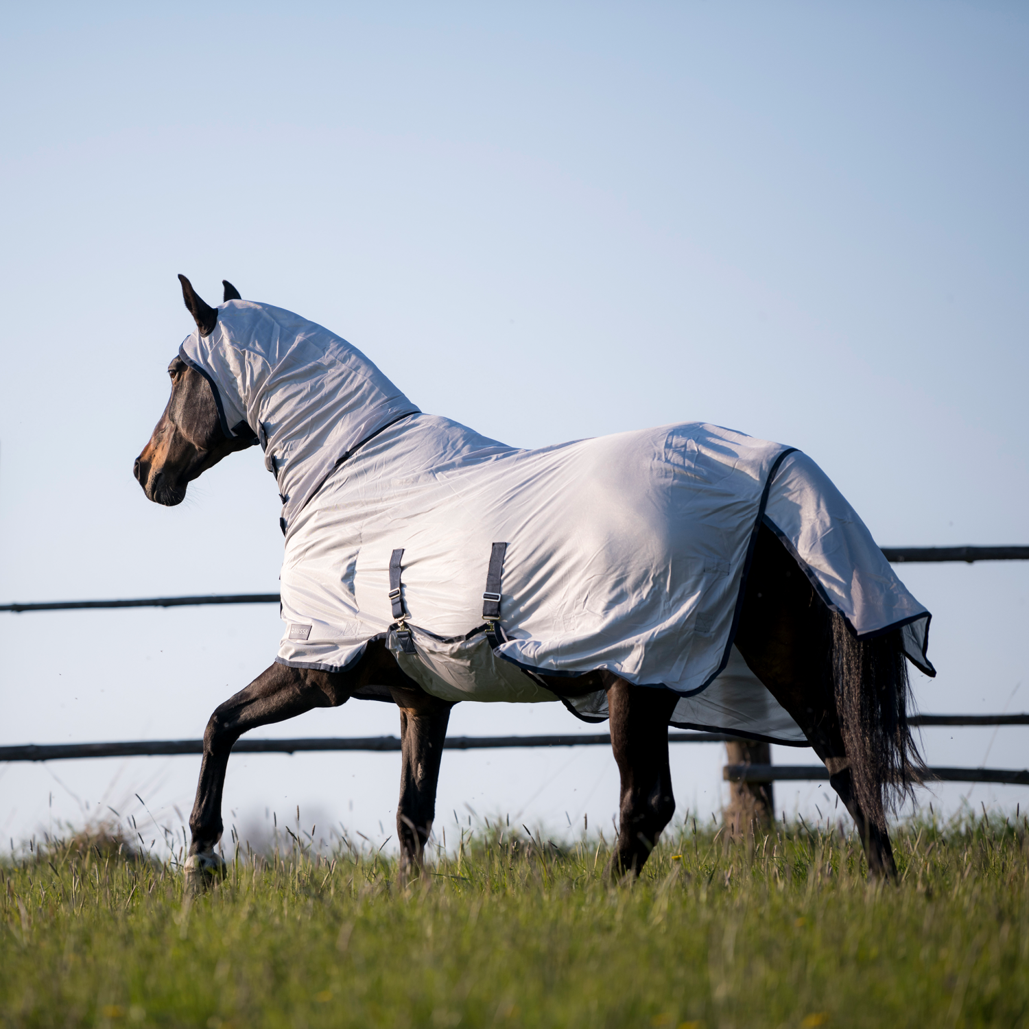 Complete Plus fly rug