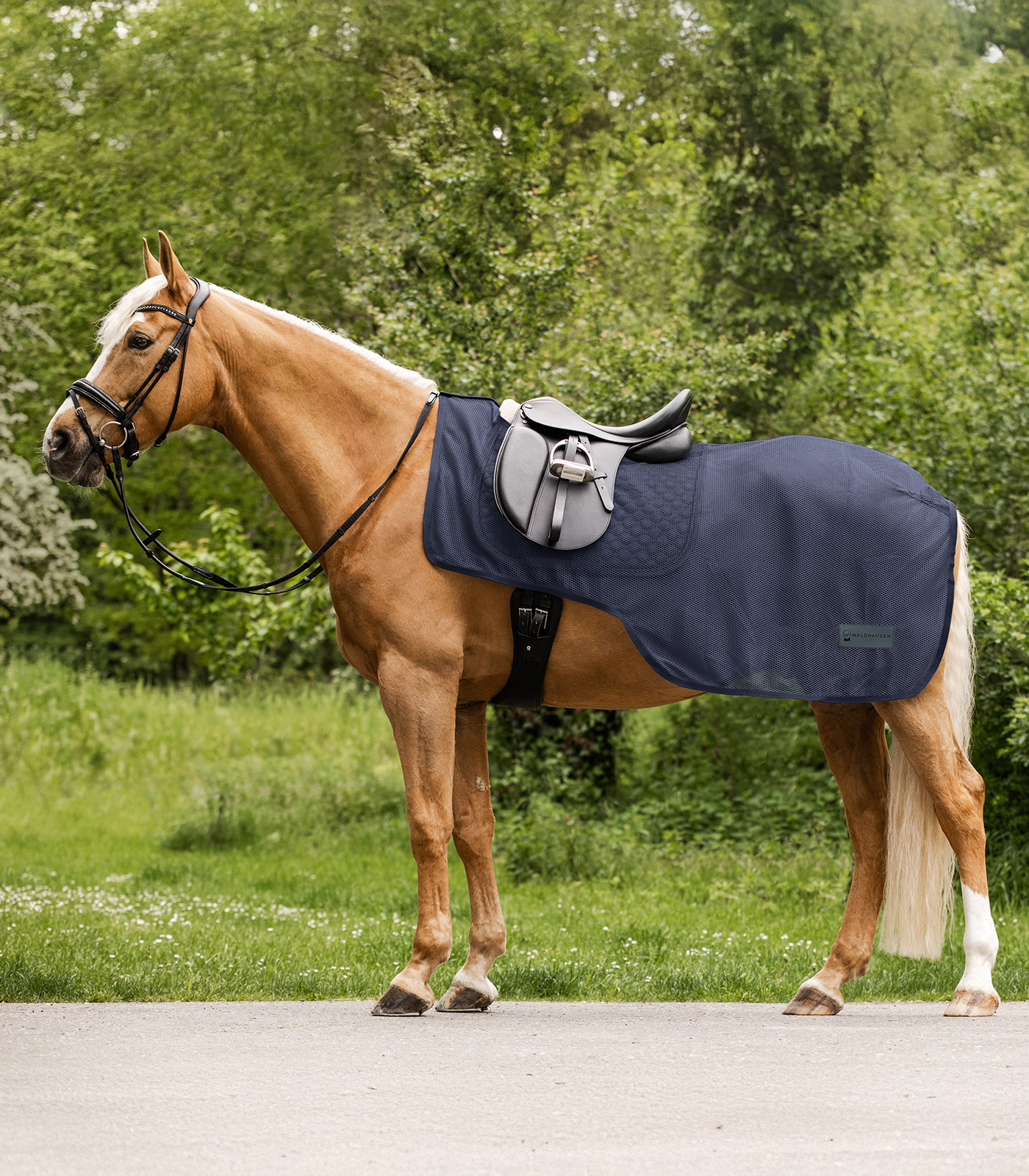 Fliegenausreitdecke Comfort