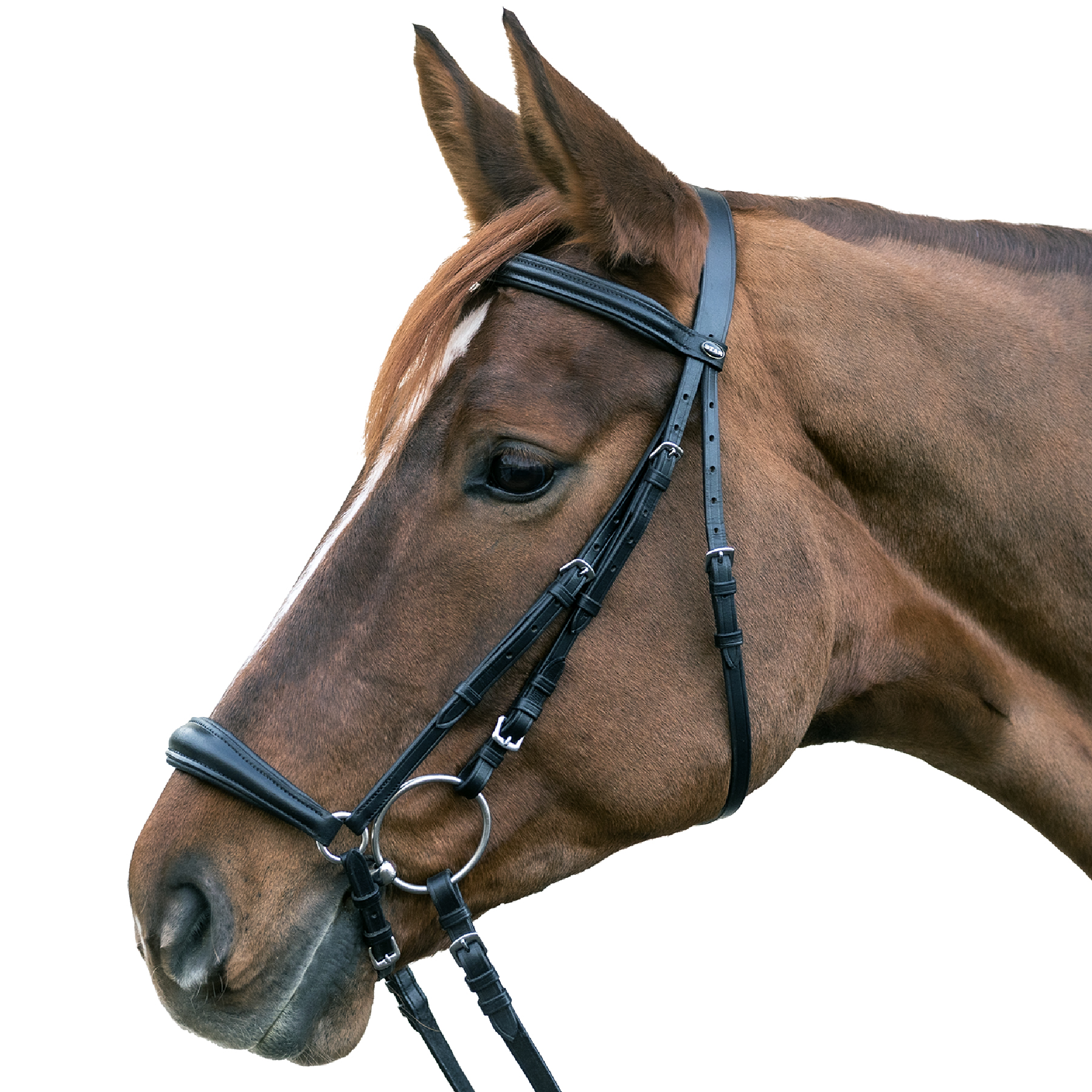 Snaffle Hanover