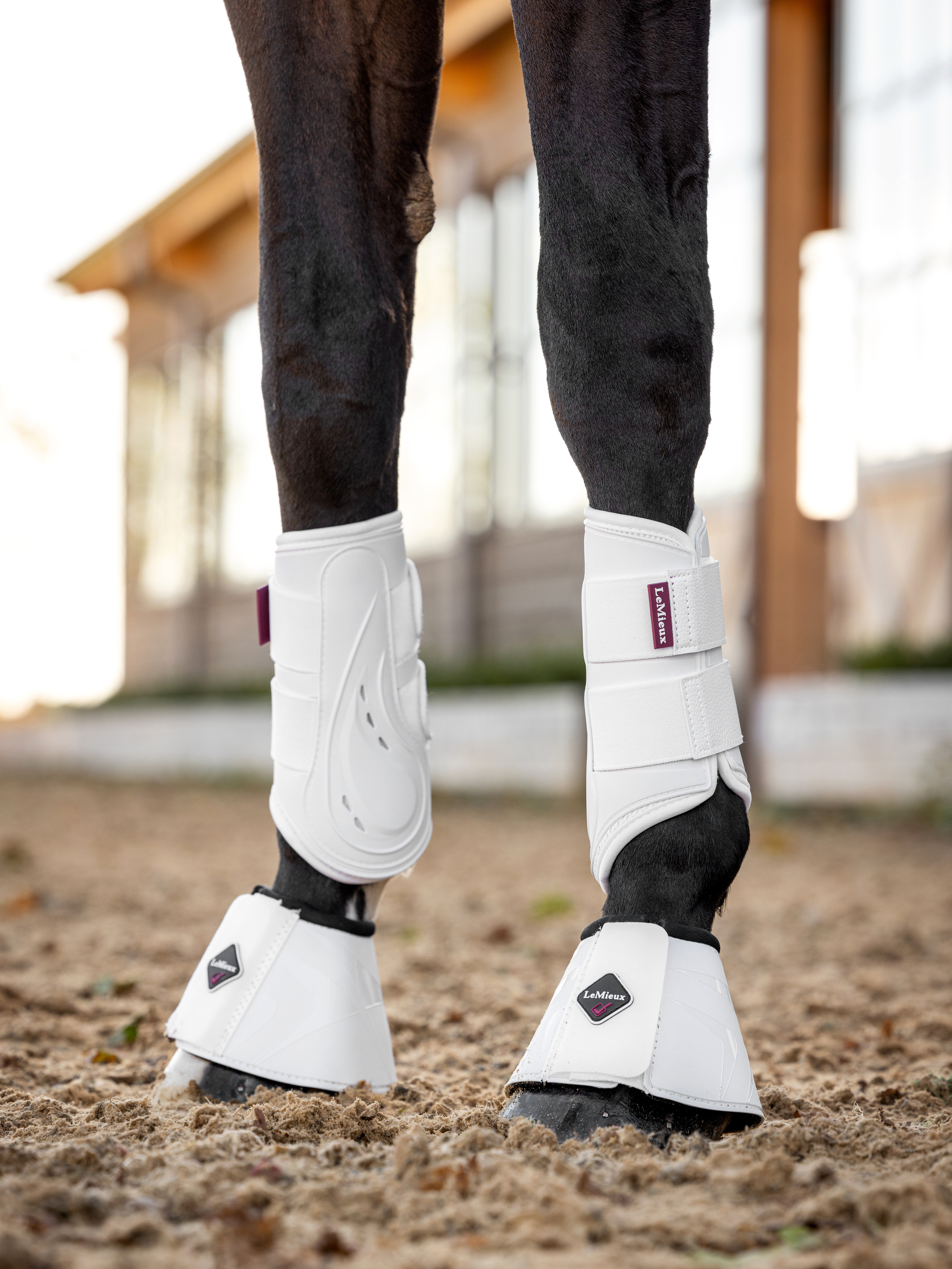 Proshell brushing boots