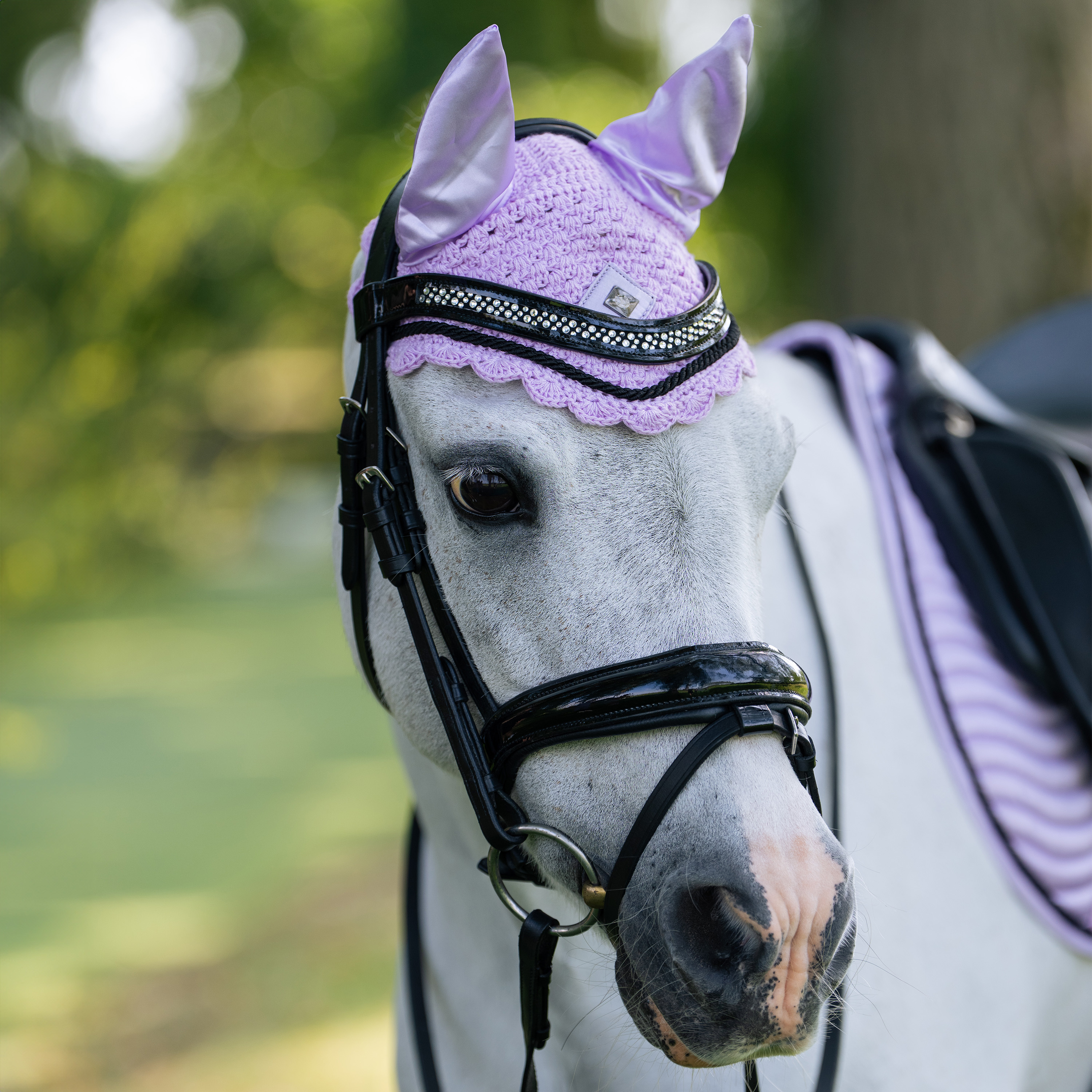 Fliegenhaube Rebel