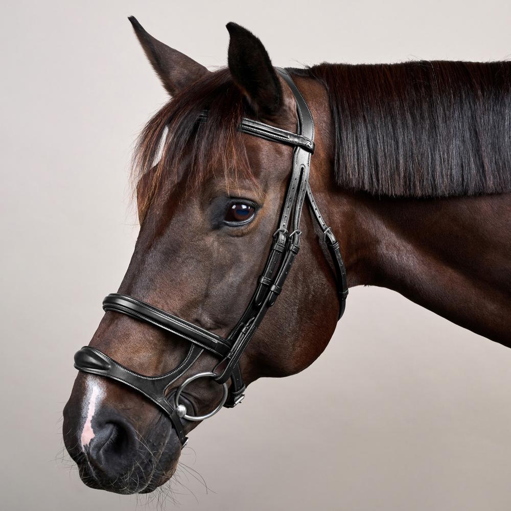 Trense mit Doppelreithalfter NE