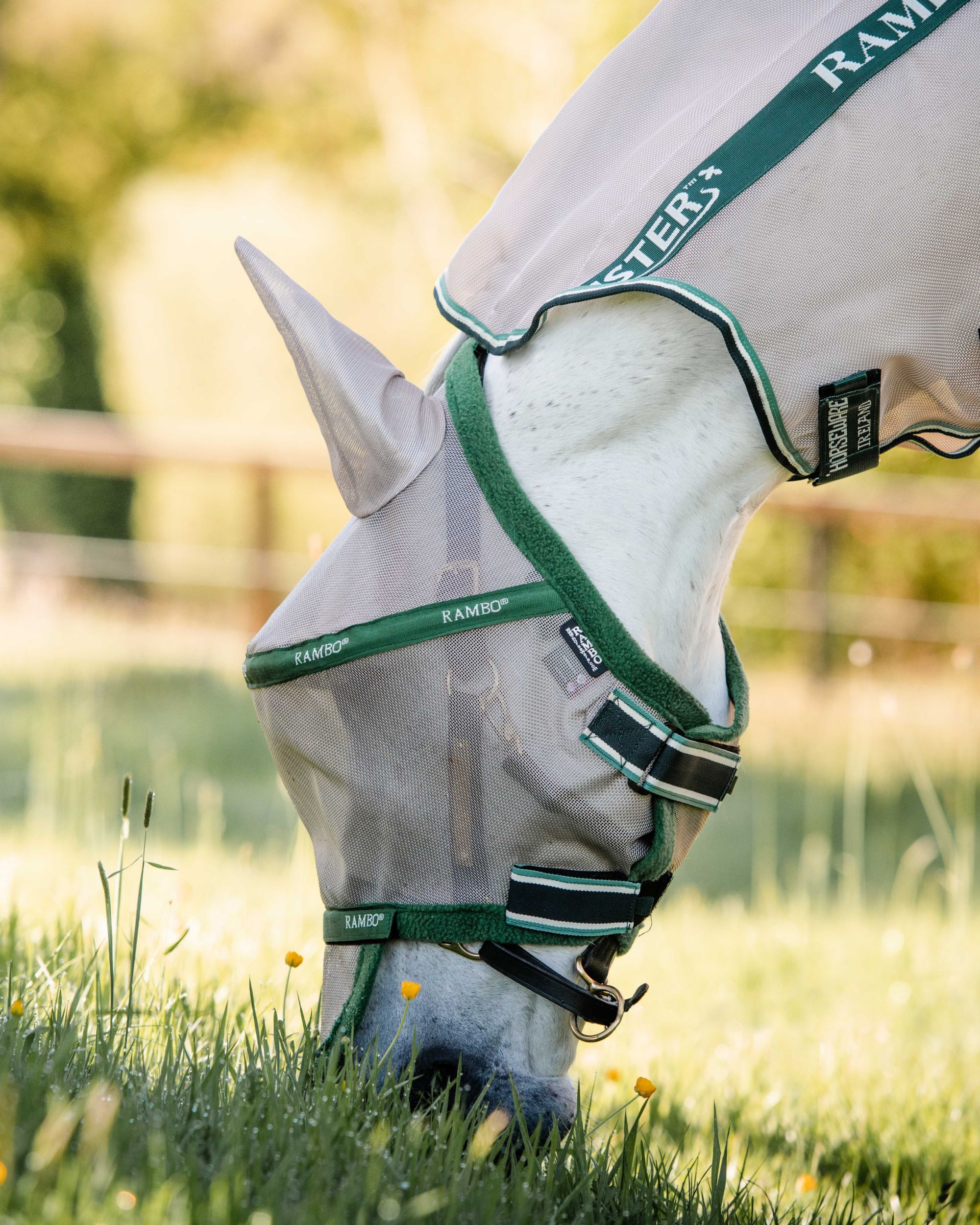 Fly mask Rambo Flymask Plus non treated