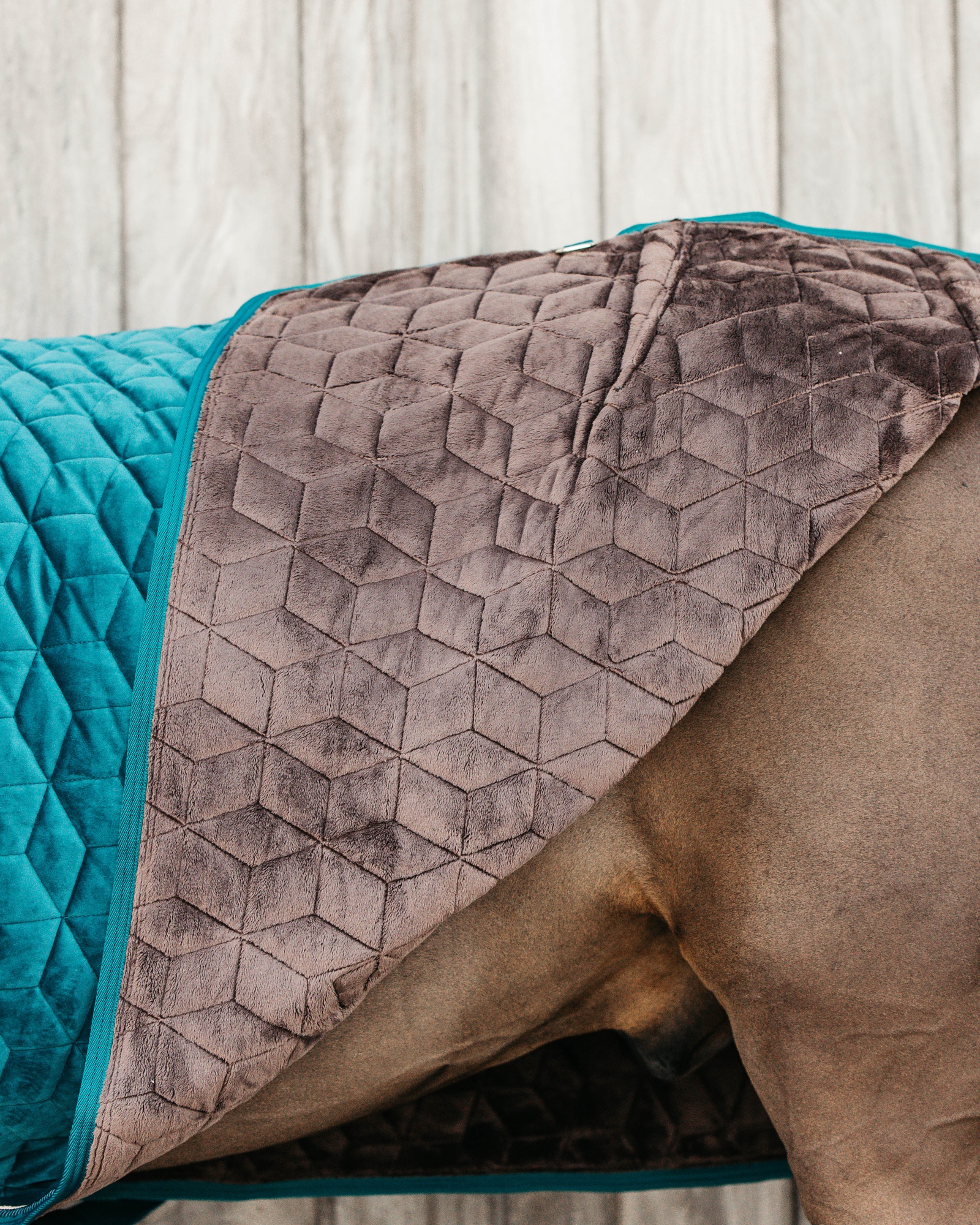 Show rug Show Rug Velvet 160g