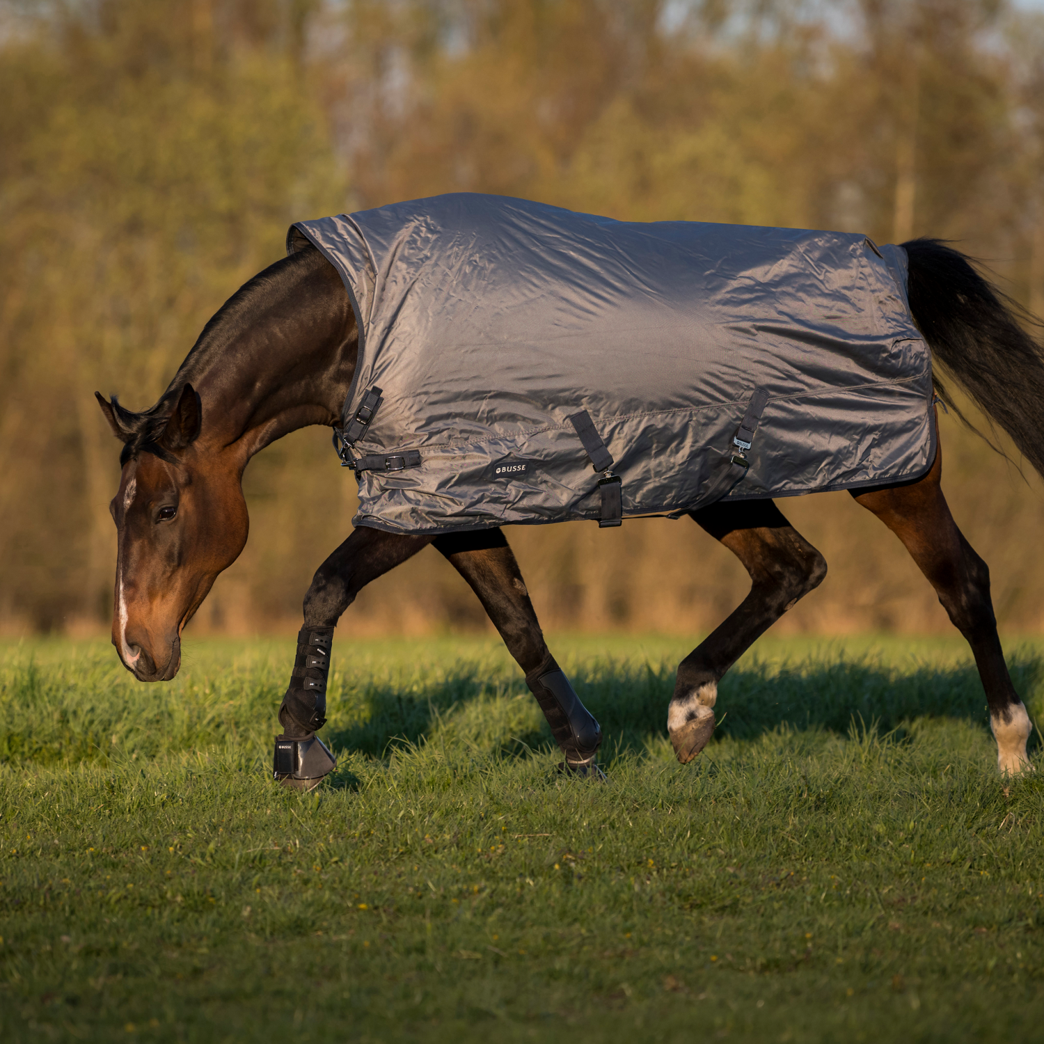 Rain-Dear 100 outdoor blanket