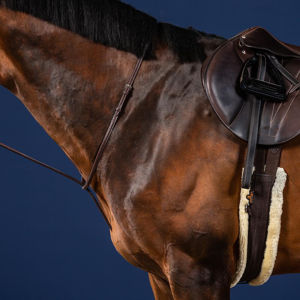 Festes martingale