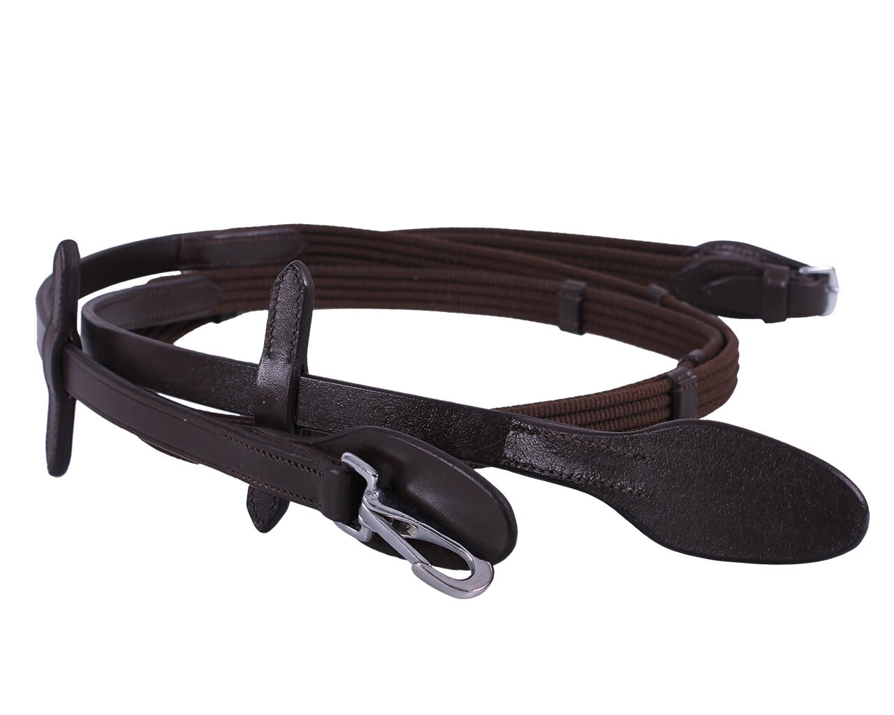 Web reins with clip