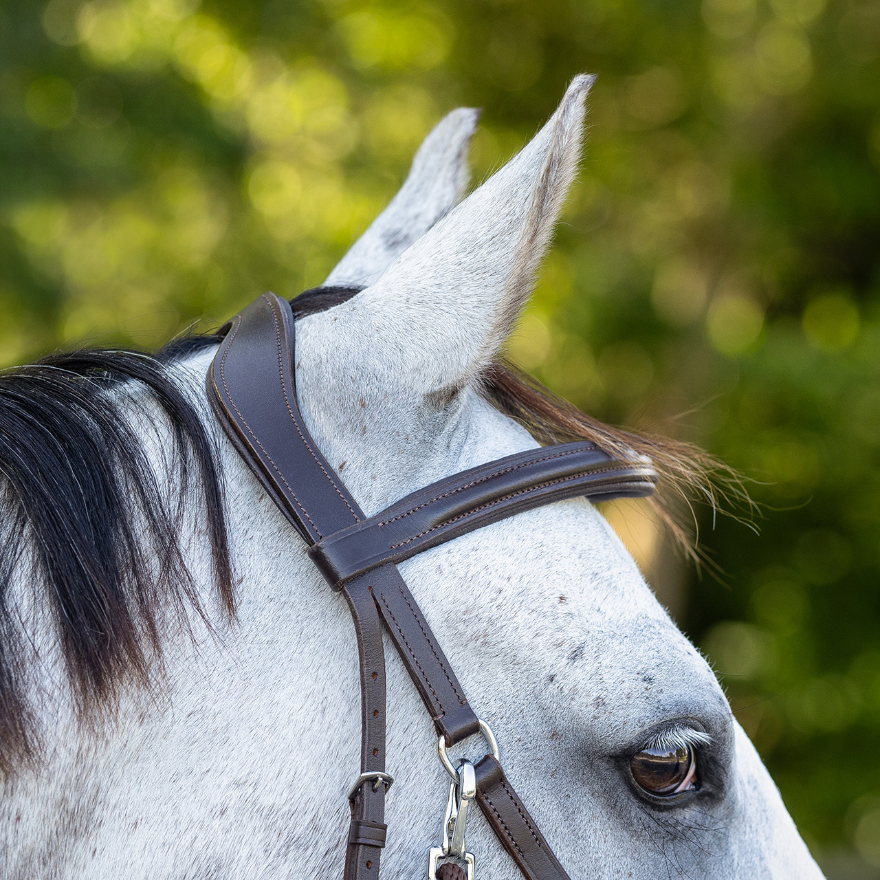 Snaffle bitless Ceto