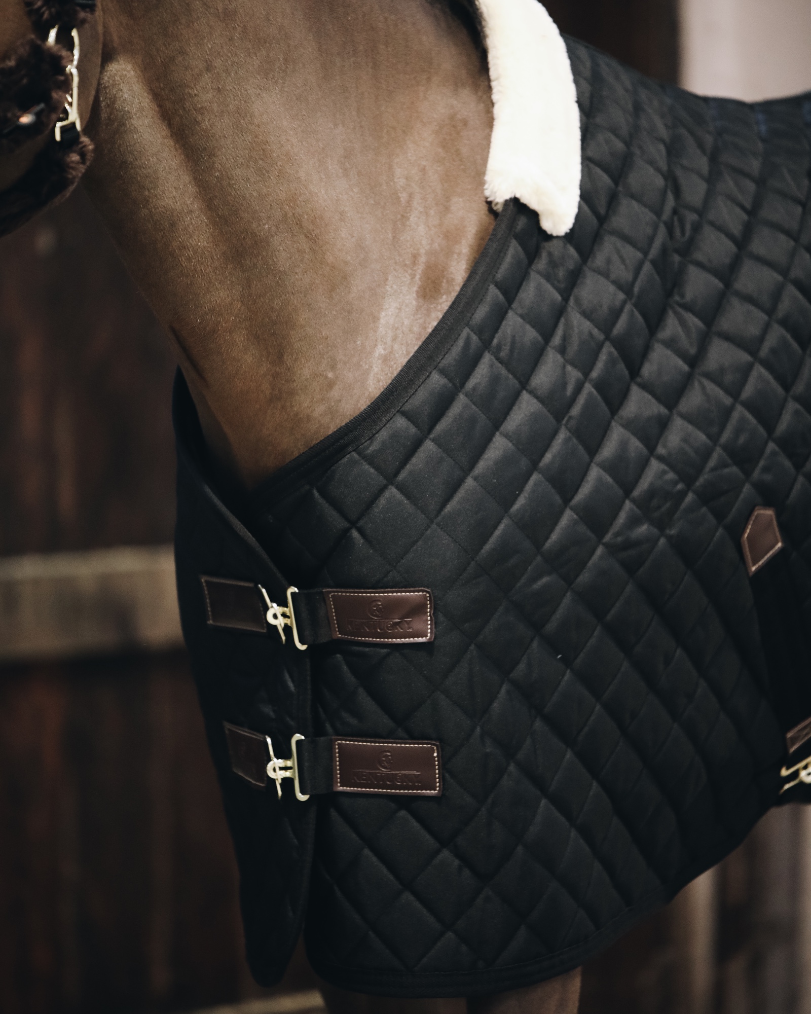 Stable rug 400g