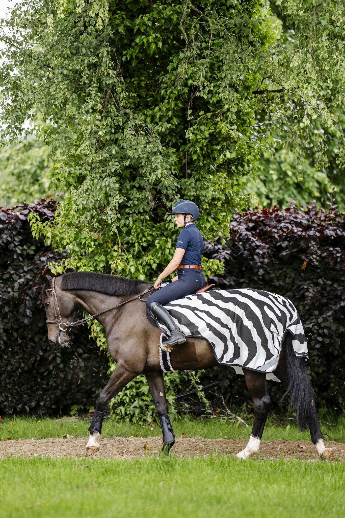 Fliegendecke Buzz-Off Riding in Zebra/Black