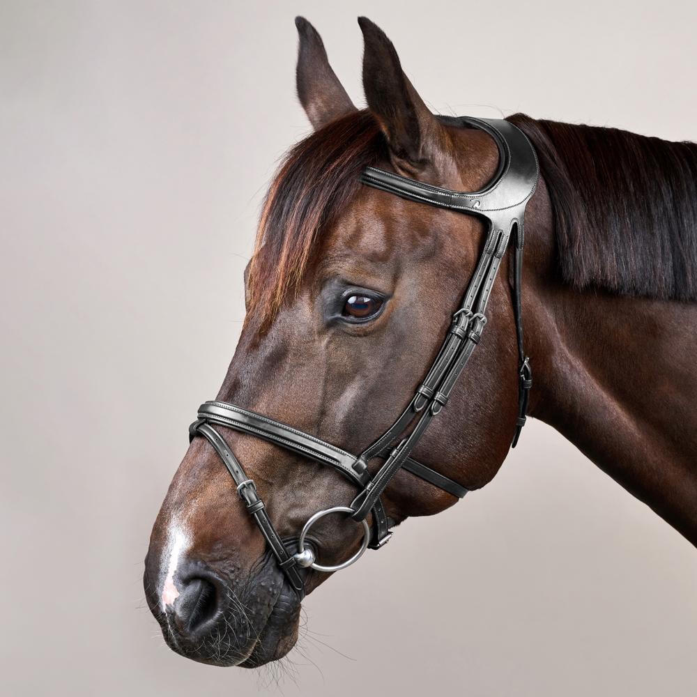 Difference Trense NE