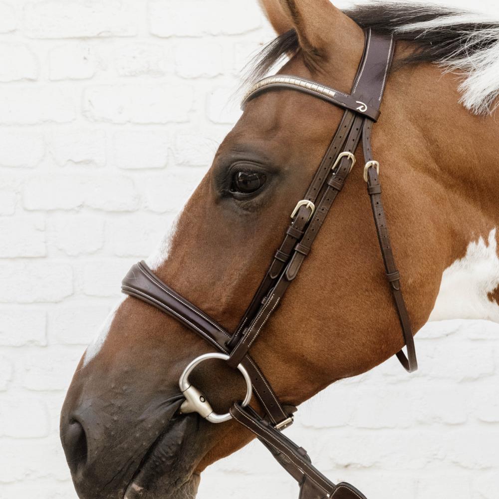 Anatomischer Nasenriemen ohne Sperriemen |