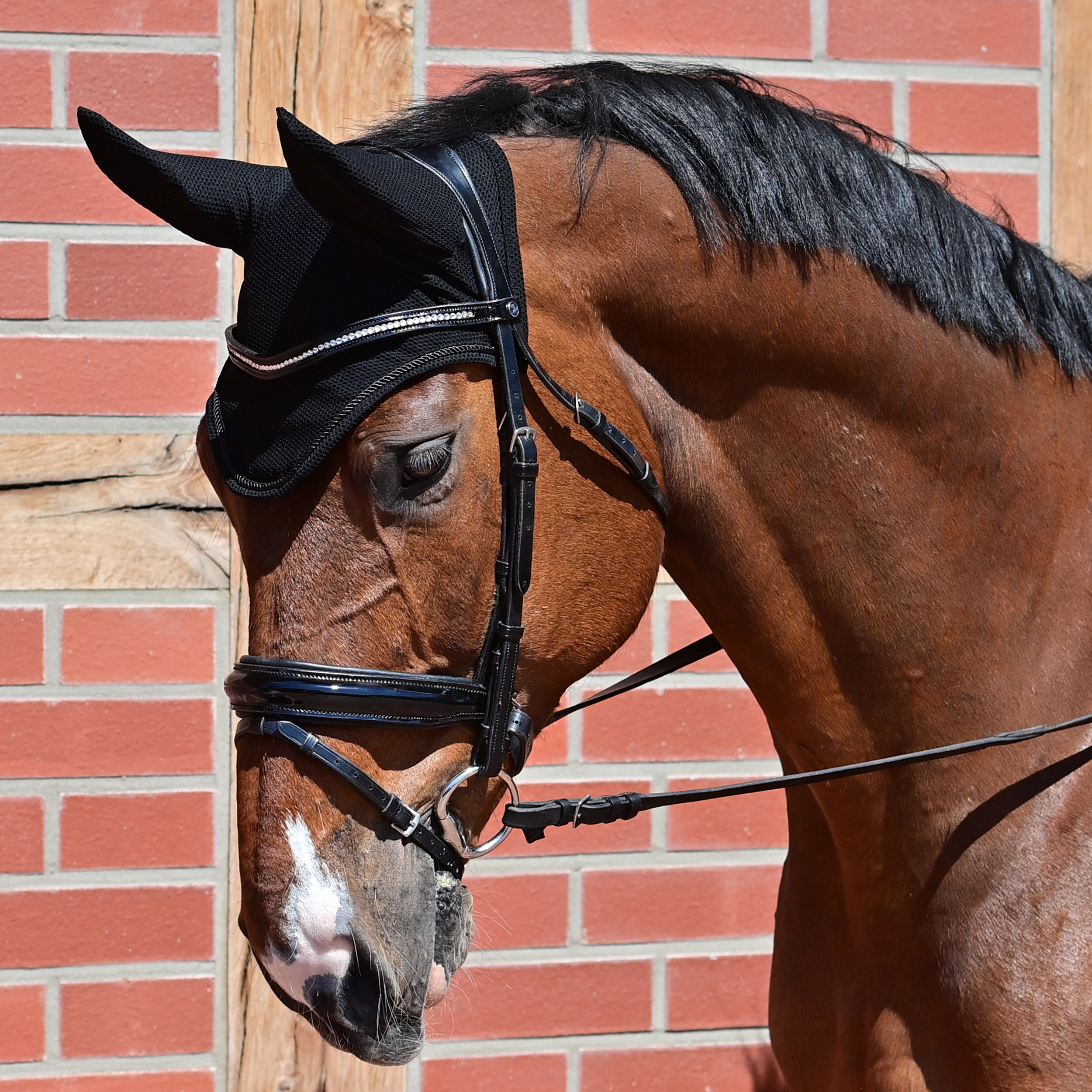 Bonnet anti-mouches Fly Air