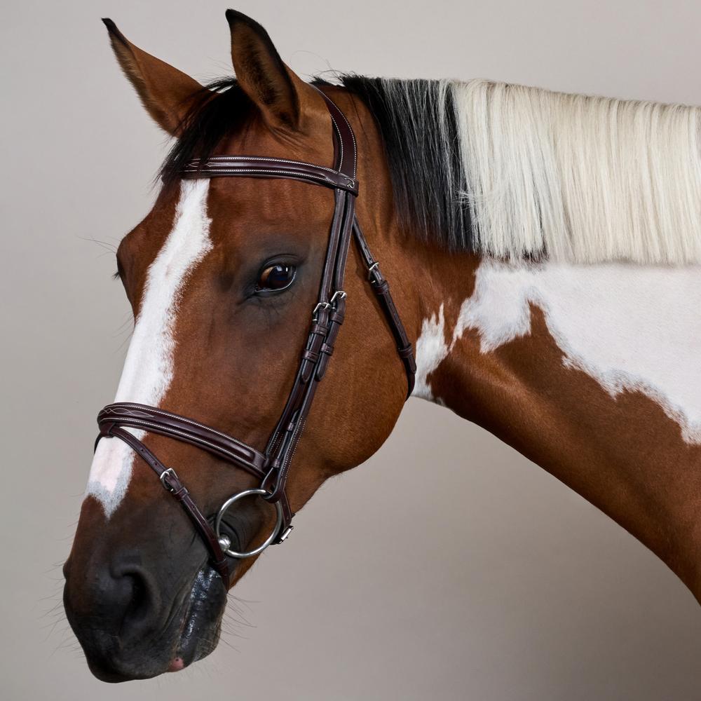 Trense mit kombiniertem Reithalfter US