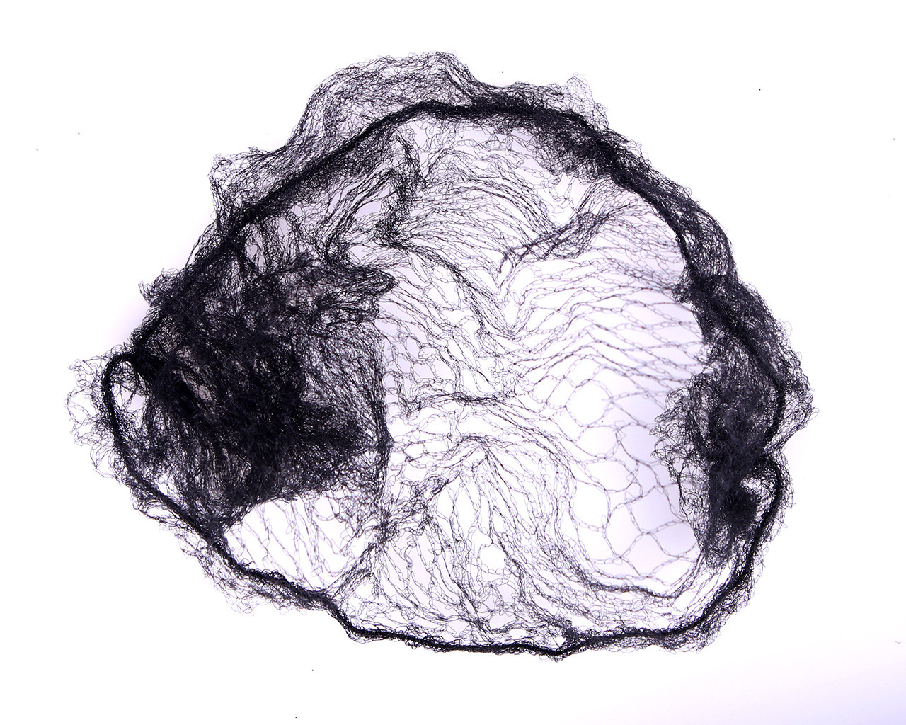 Hairnet cover