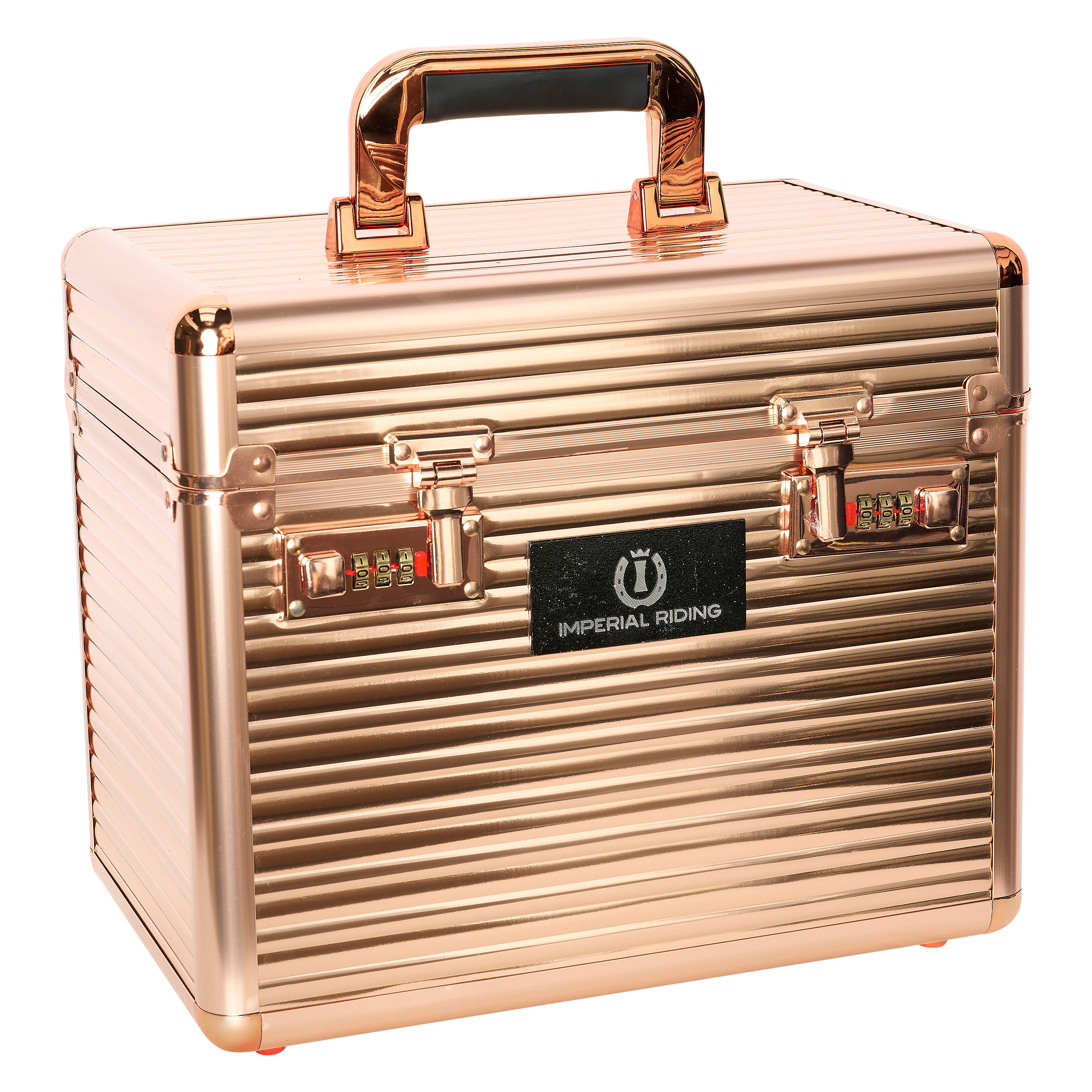 Putzbox Shiny Classic small