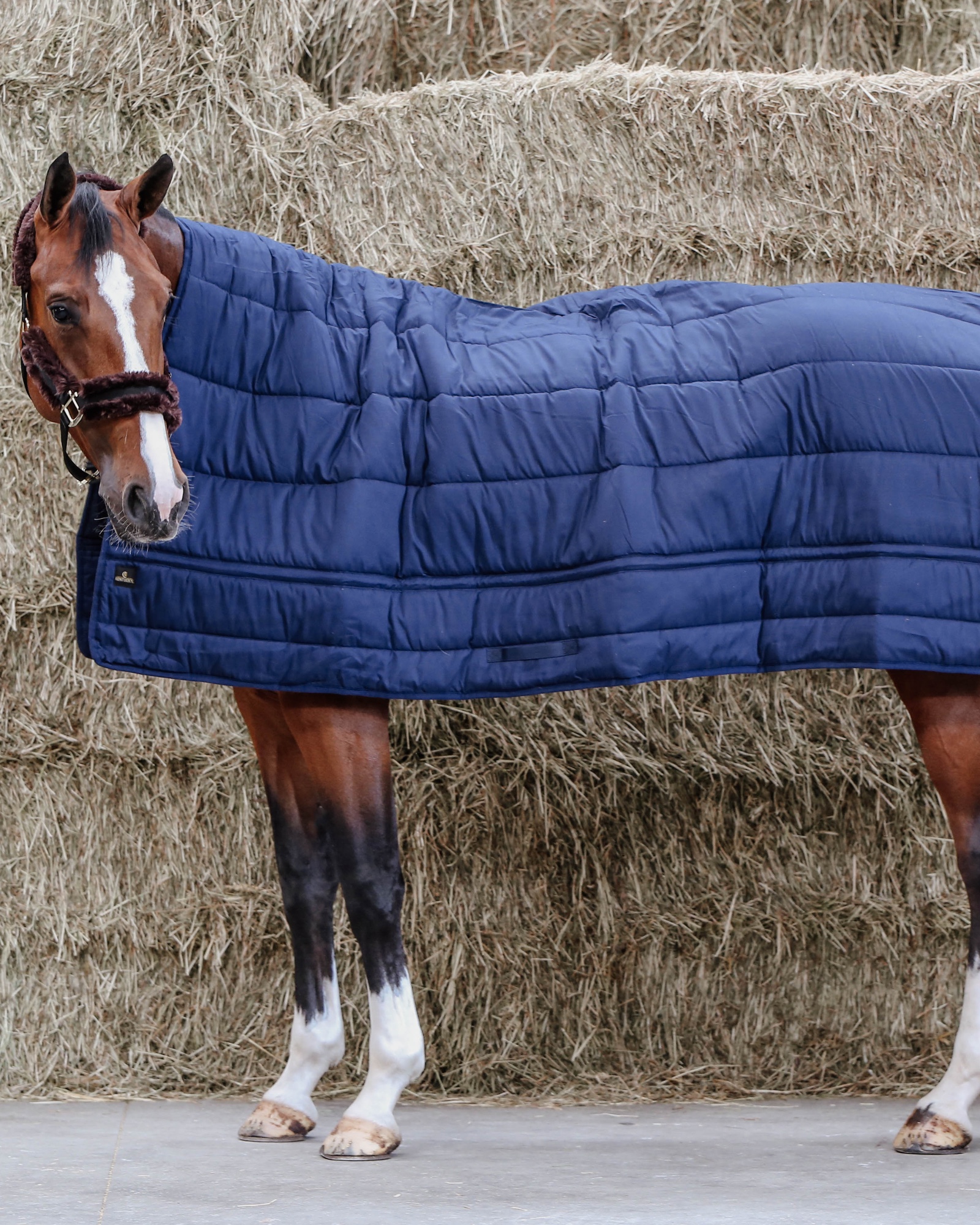 Down duvet horse 300g