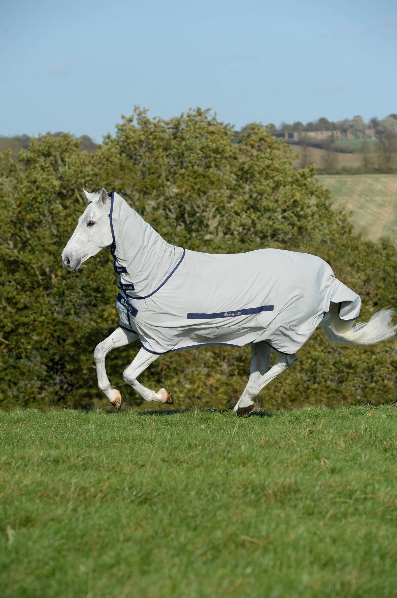 Fliegendecke Sweet Itch Rug in Silver