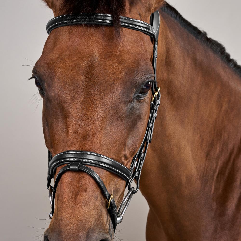 Difference Trense DY DY | Dy'on