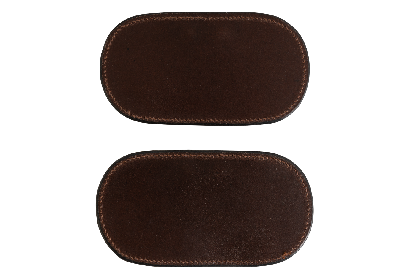 Hackamore protector