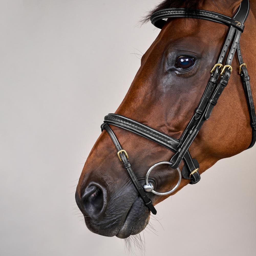 Geflochtene Trense mit kombiniertem Reithalfter DY | Dy'on