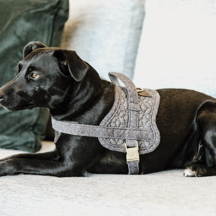 Hundegeschirr Body Safe Wool | Kentucky Dogwear