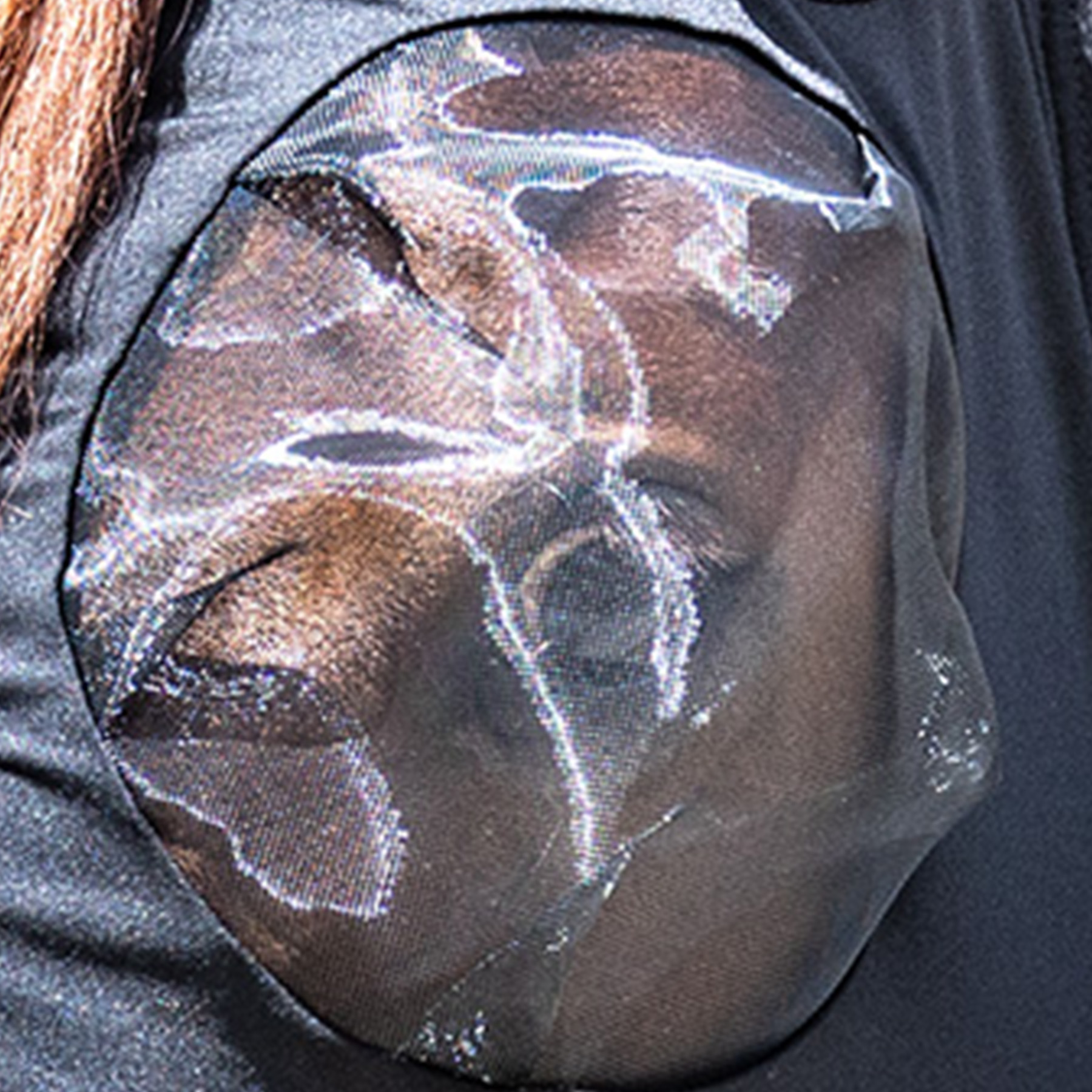 Puck fly mask Puck fly mask