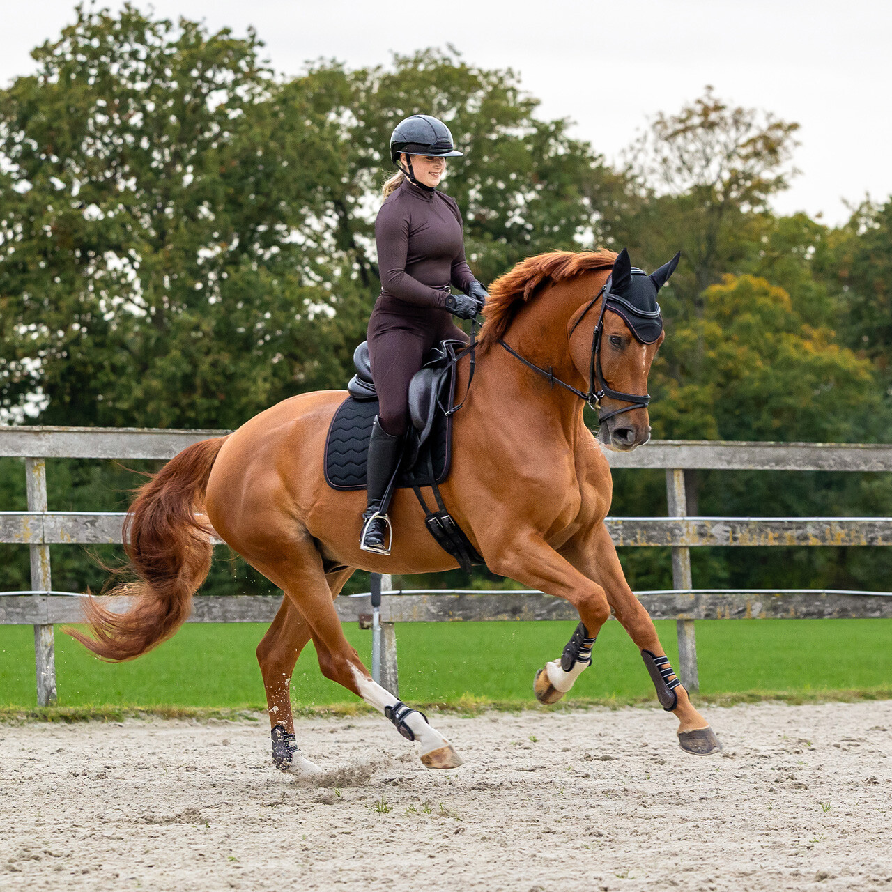 Reitleggings Avenna Vollgrip in cognac