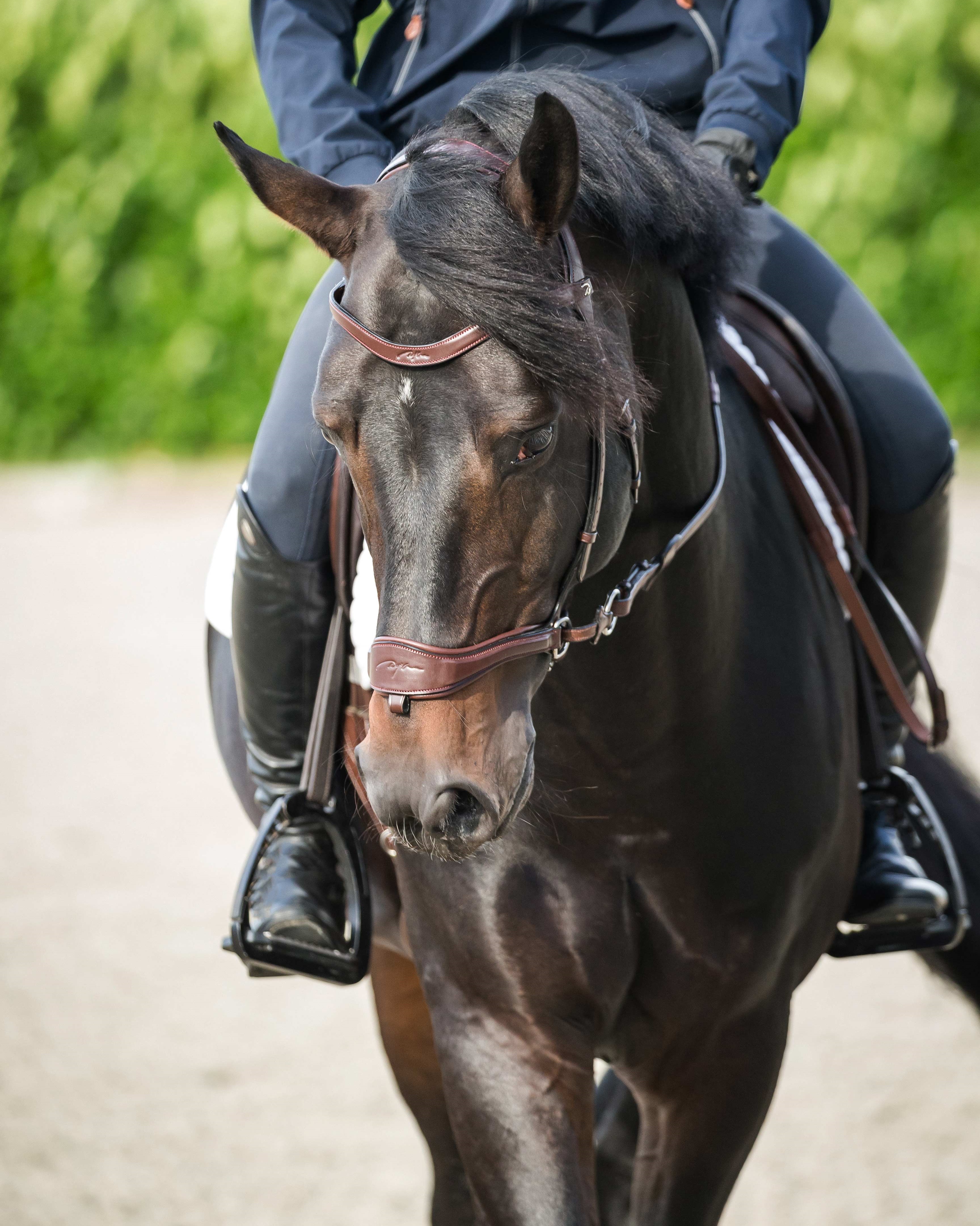 Snaffle D-Motion Snaffle D-Motion