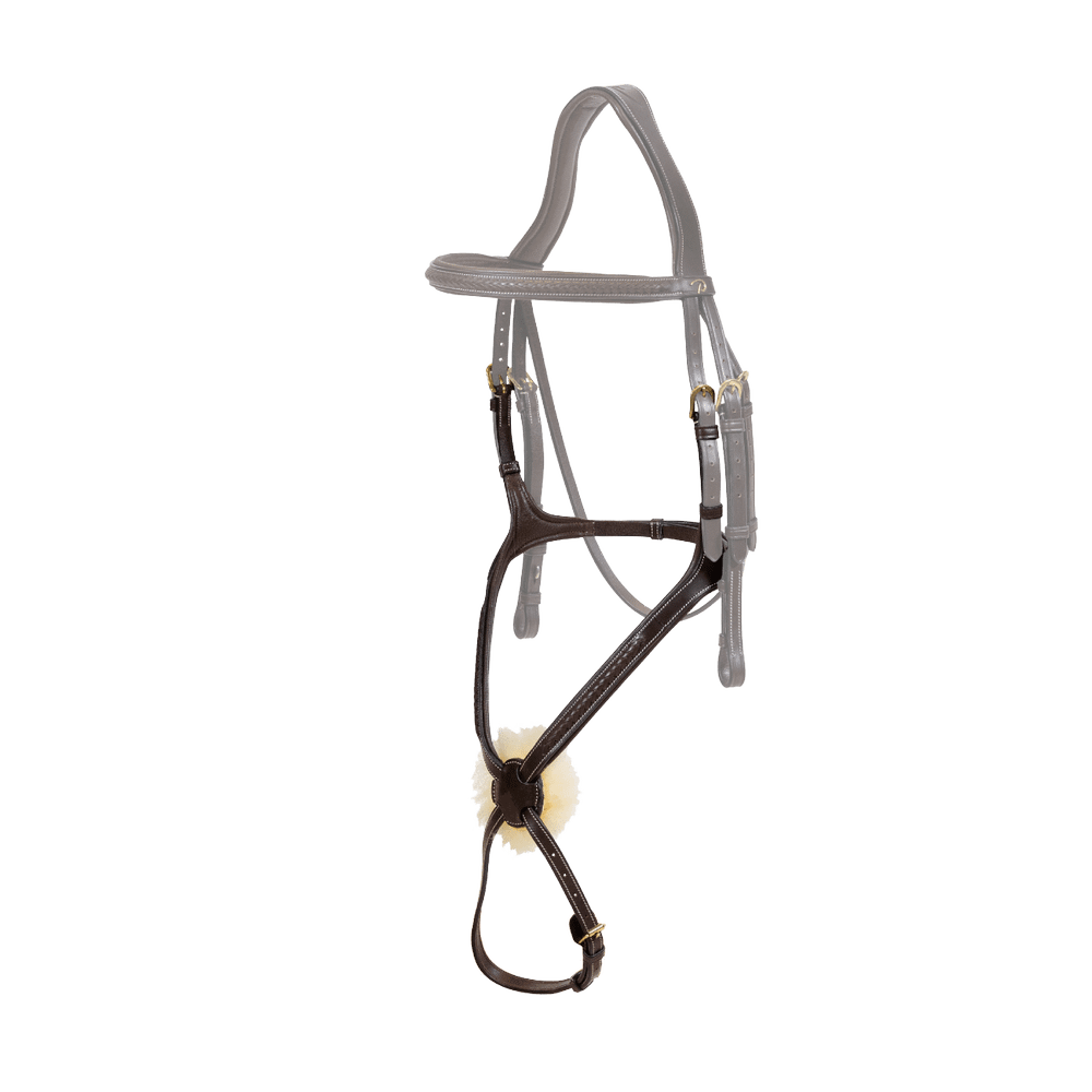 Nasenriemen mit geflochtenen mexikanischem Reithalfter |