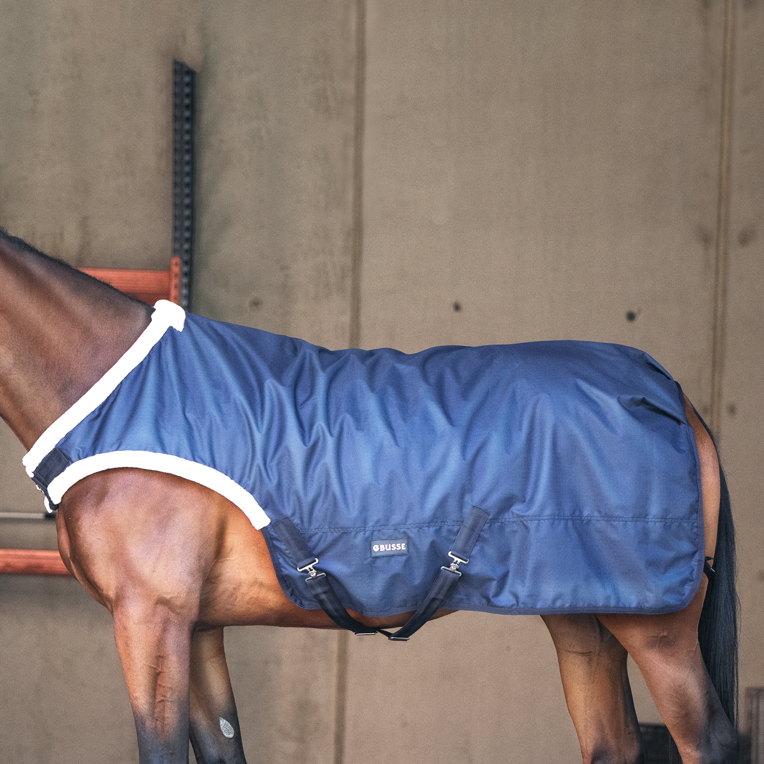 Horse walker rug Trainer 50