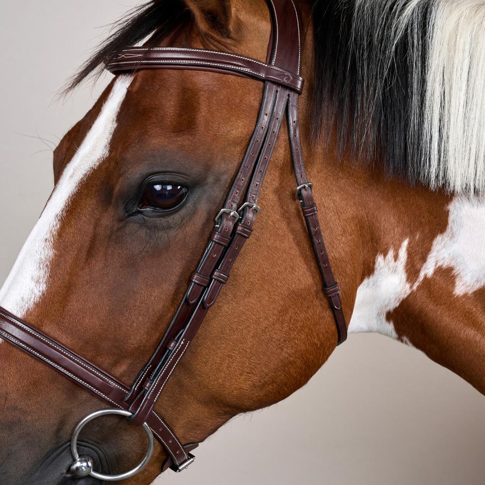 Trense mit Cavesson Reithalfter US