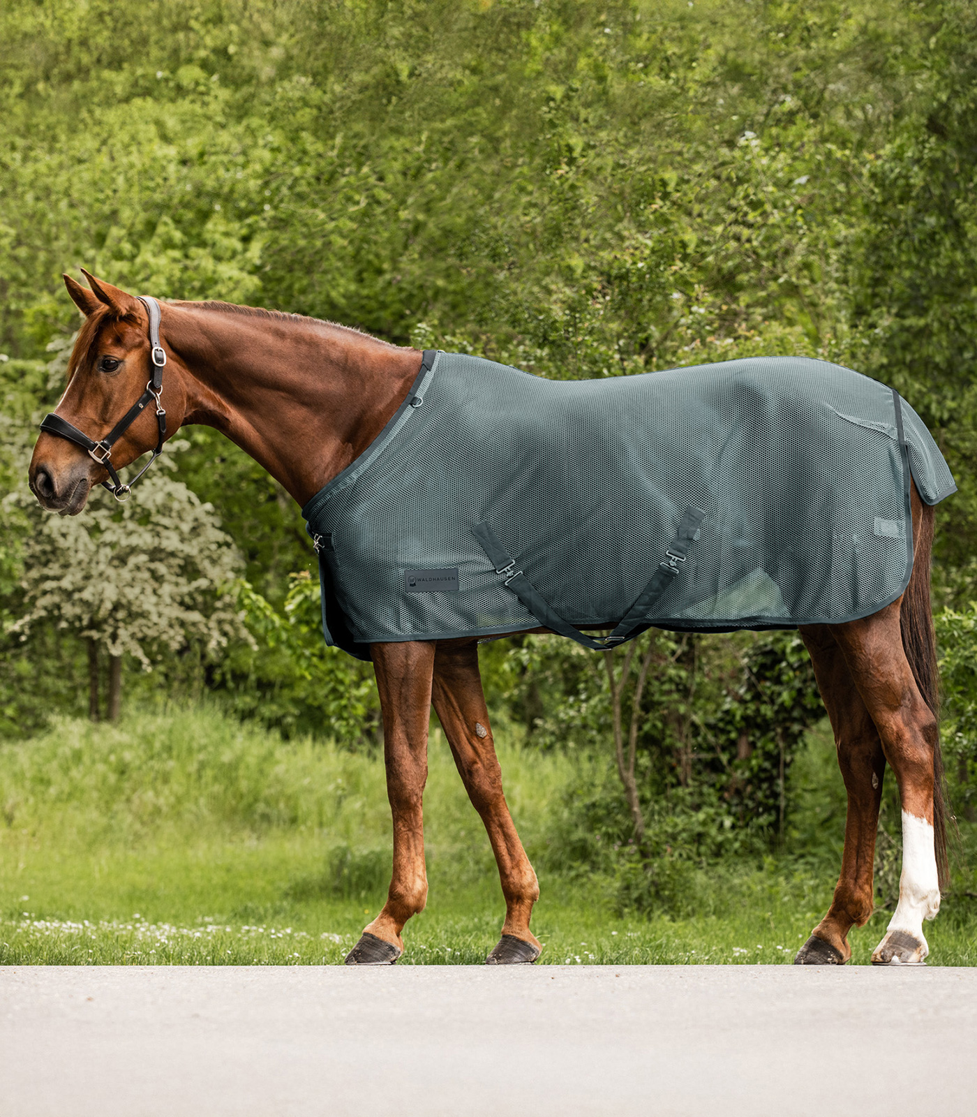 Fly rug Comfort cross surcingles