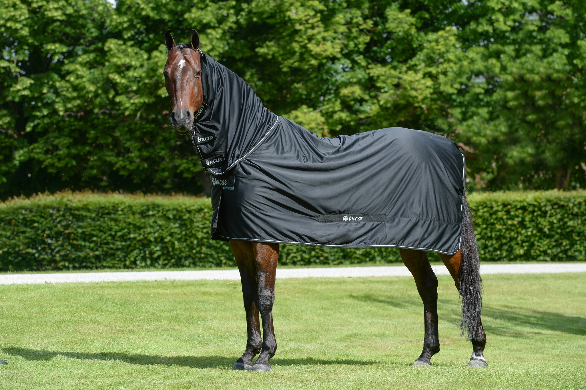 Abschwitzdecke Shamrock Power in Black/Silver