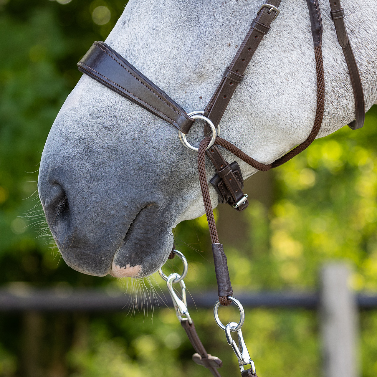 Snaffle bitless Sunna