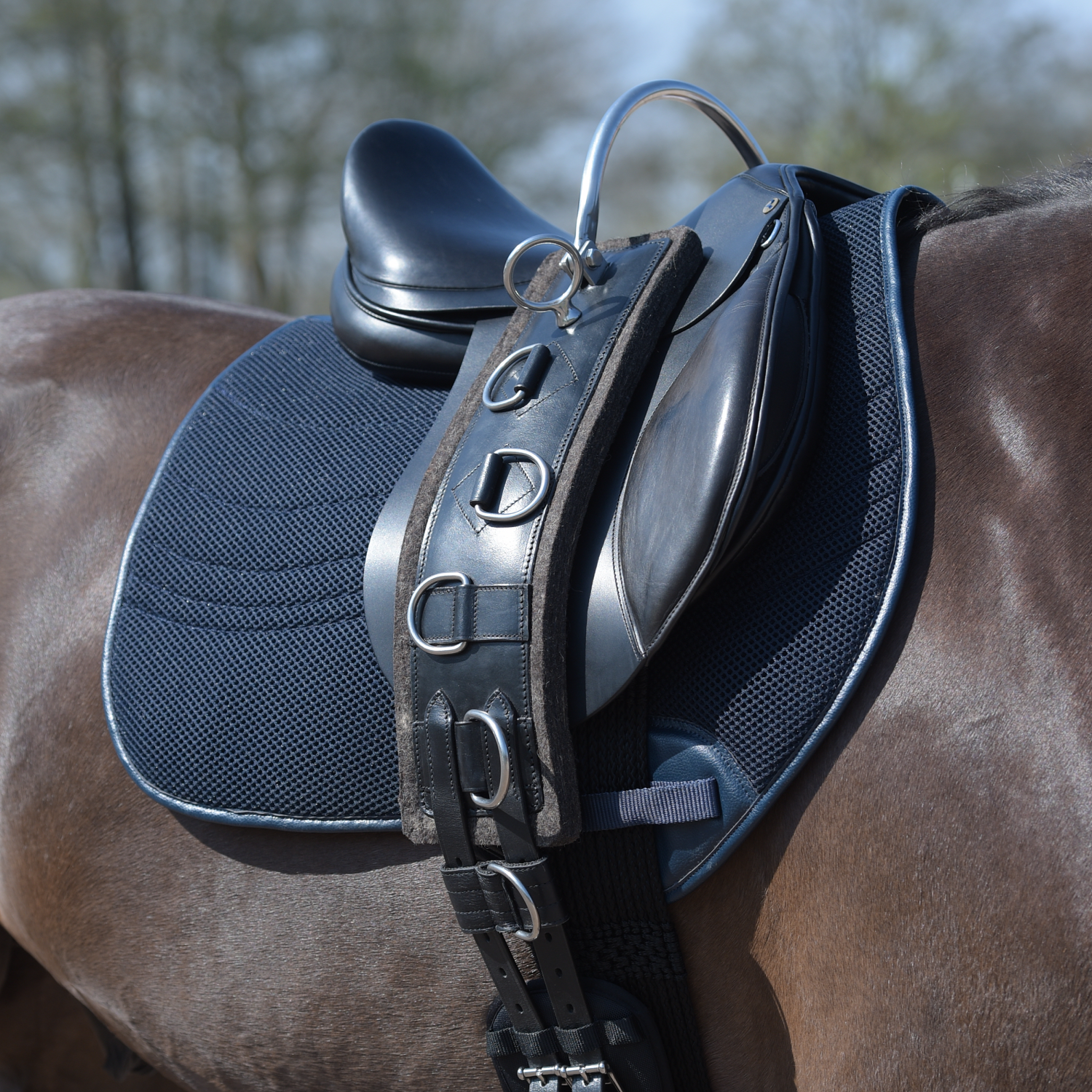 Flex Fit lunge belt