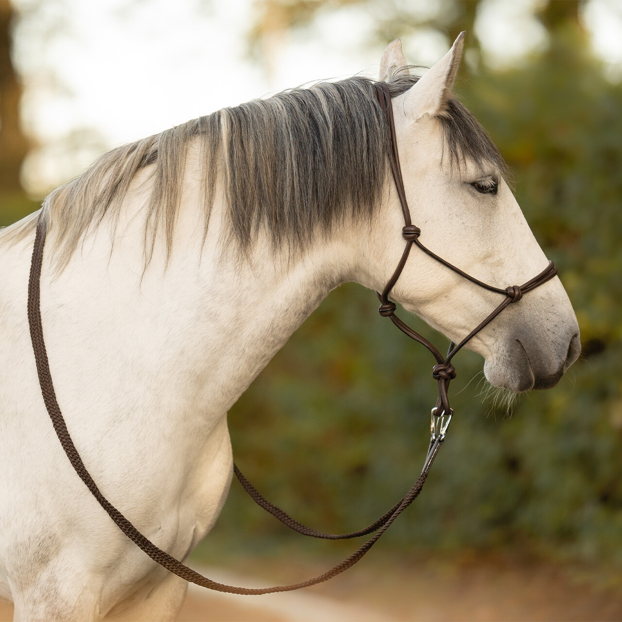 Knotenhalfter Leder Liberta